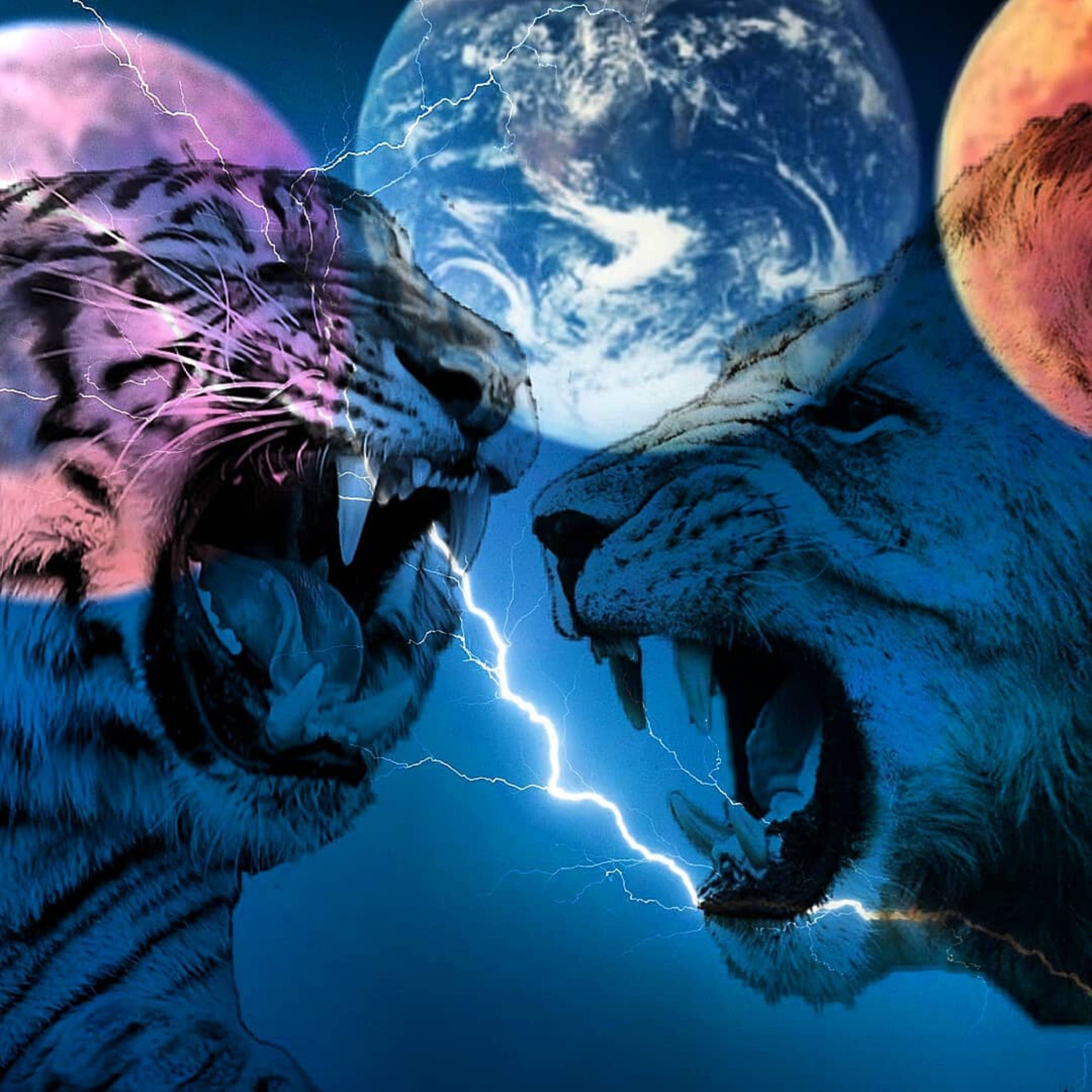 4000x4000 Lion And Tiger Planets Wallpaper