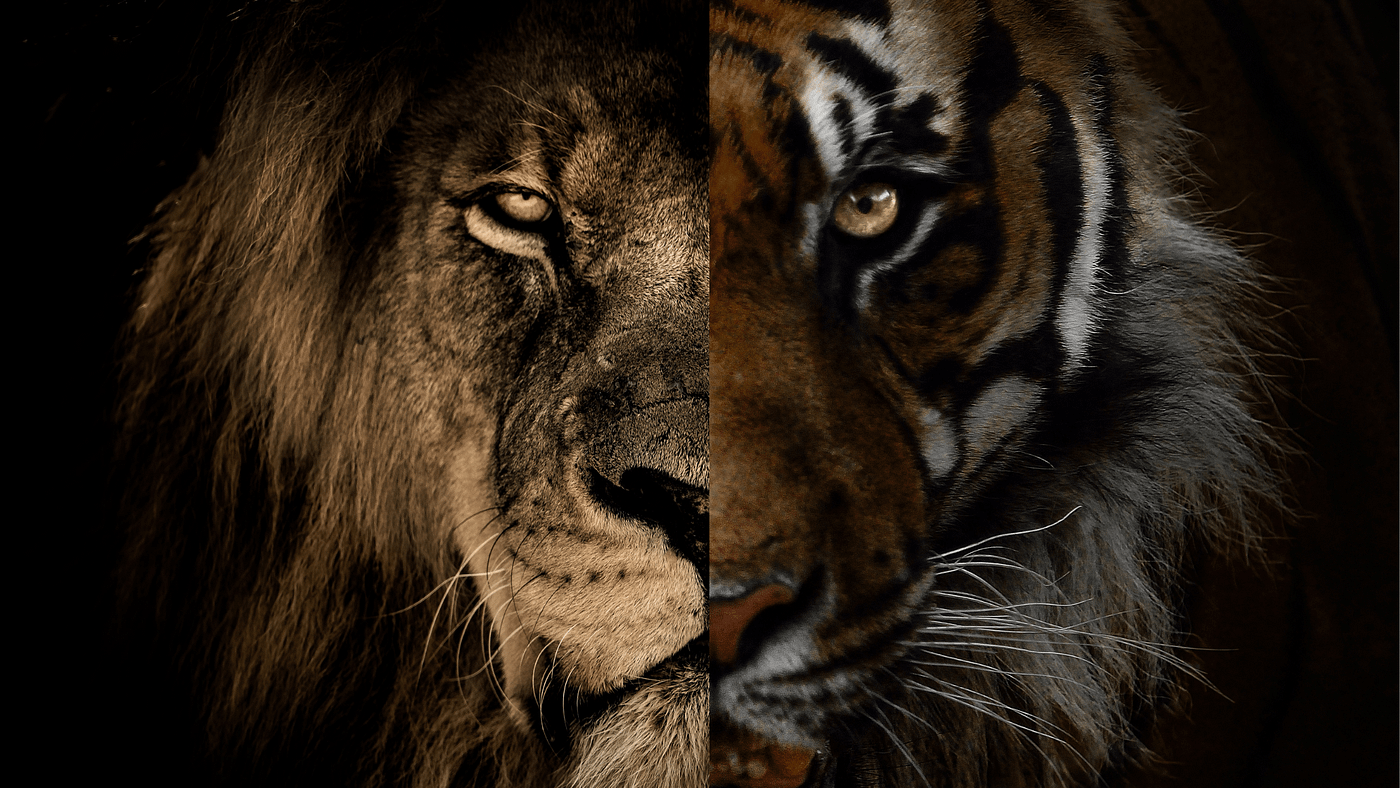 1400x788 The King of the Jungle. We all have