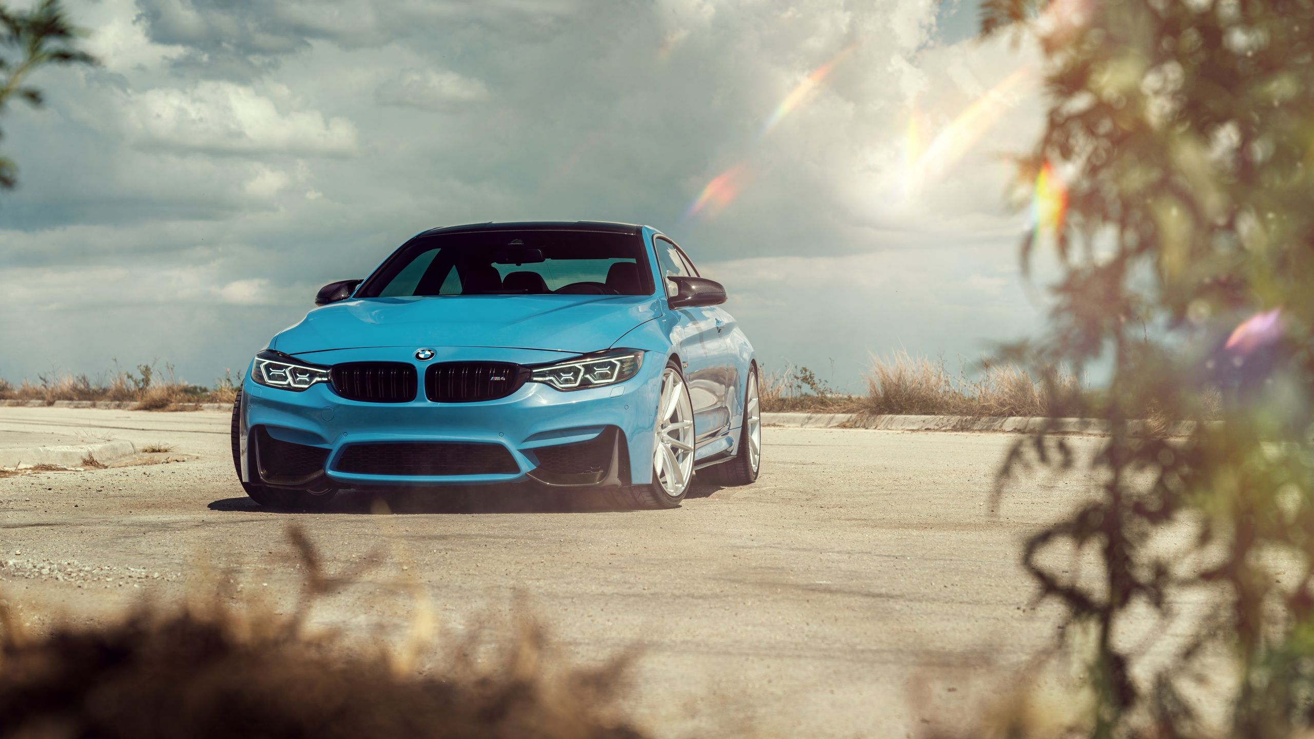 2560x1440 BMW M4 Wallpaper 4K, 5K, 8K