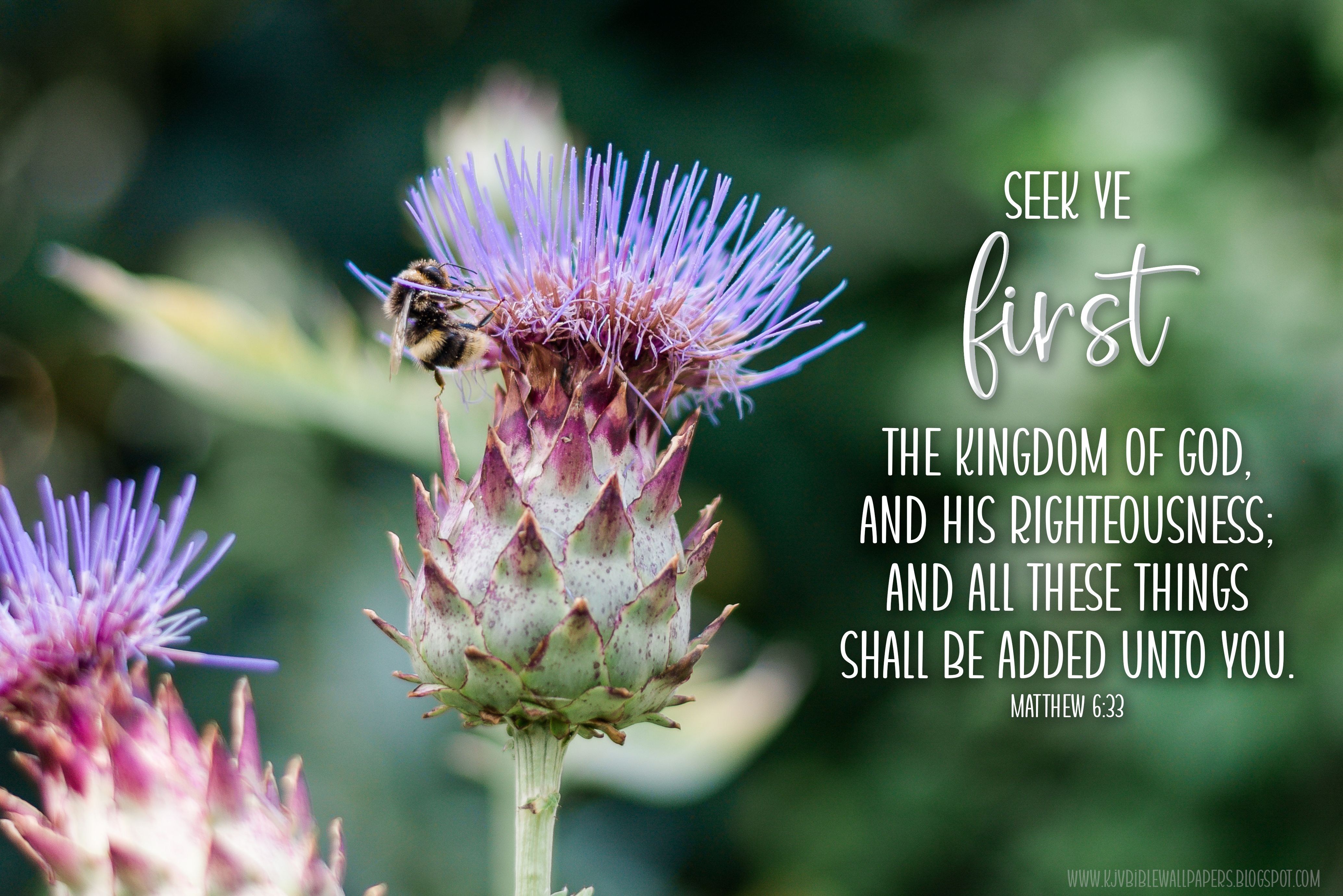 4138x2761 KJV Bible Wallpaper: Seek First