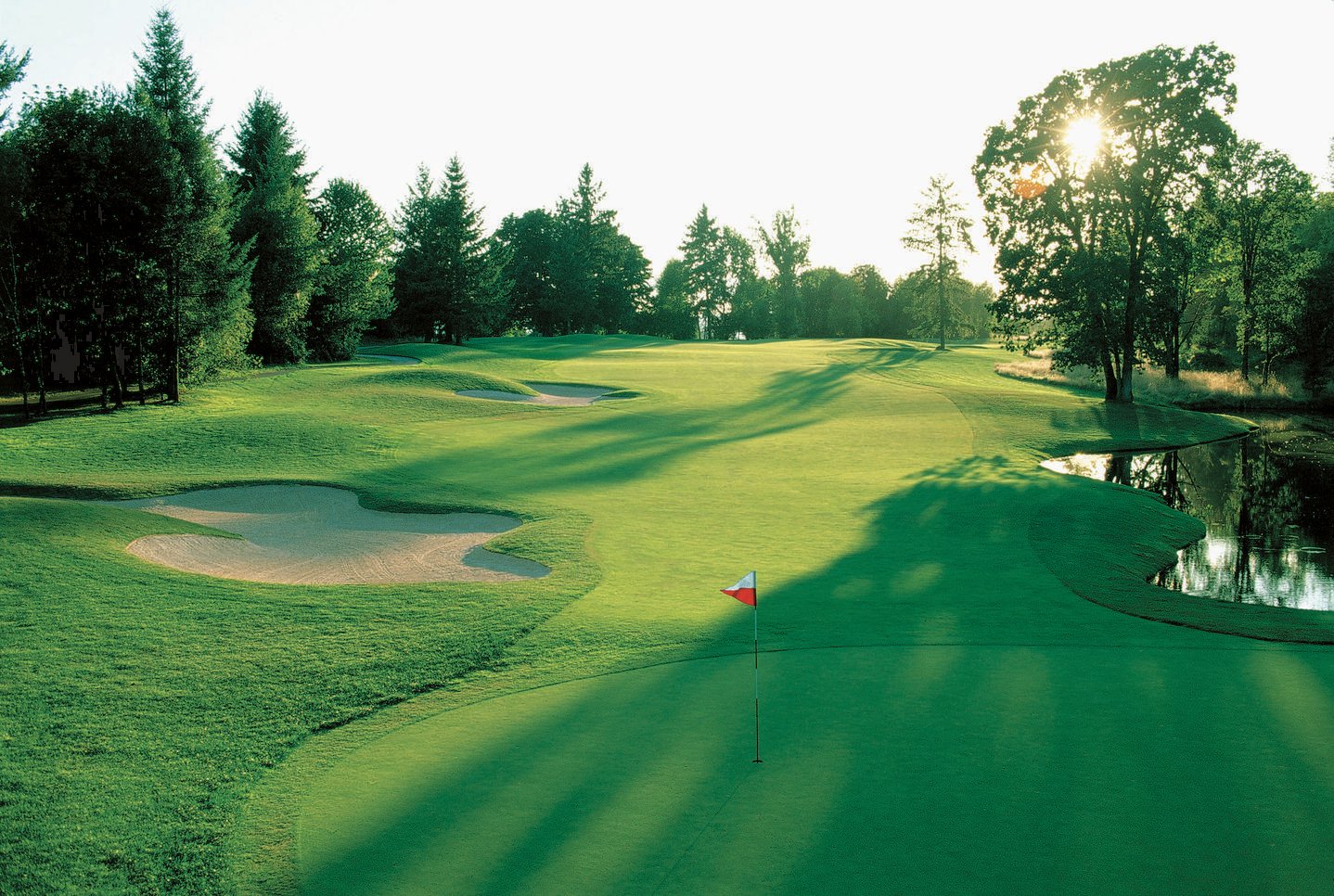Golf Green Wallpapers - Top Free Golf Green Backgrounds - WallpaperAccess