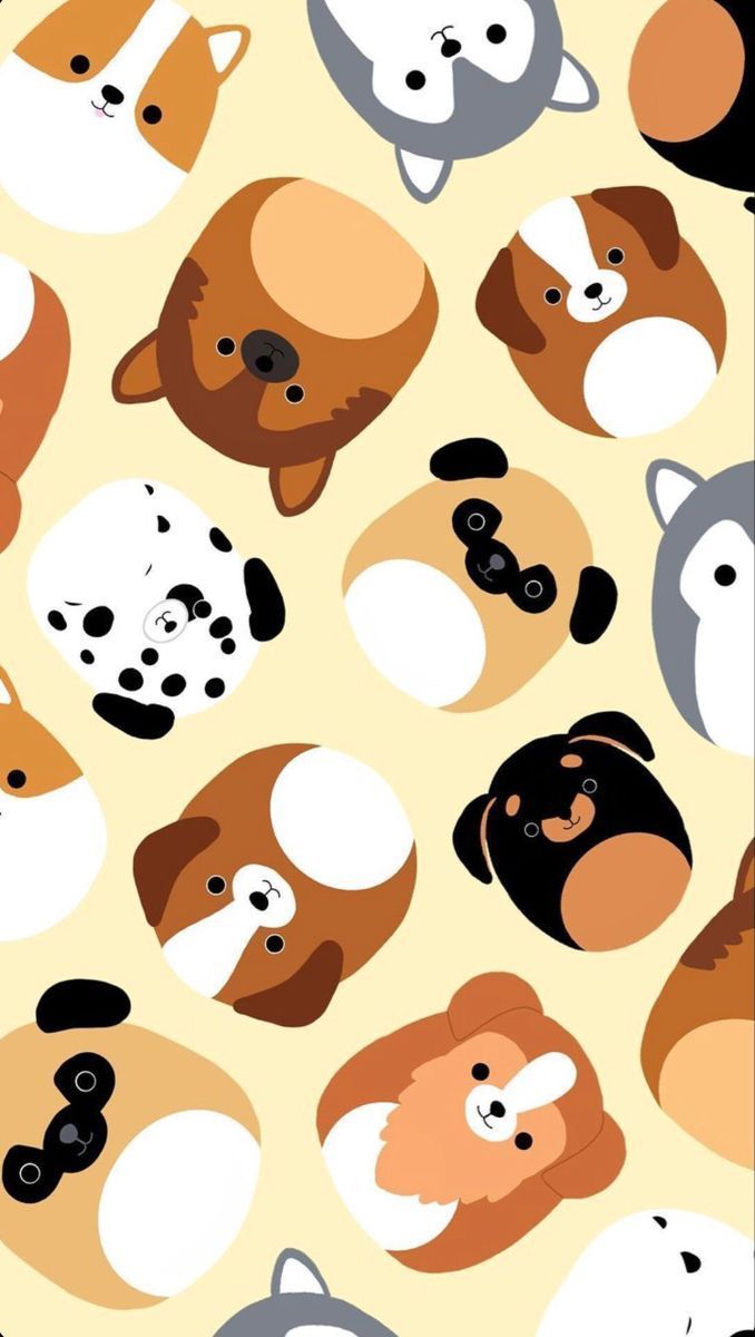 678x1200 Background Squishmallows Wallpaper
