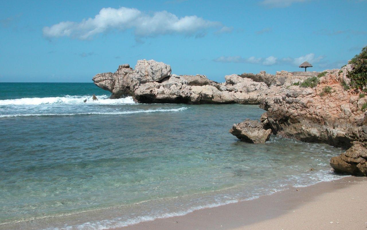 a beach landscape