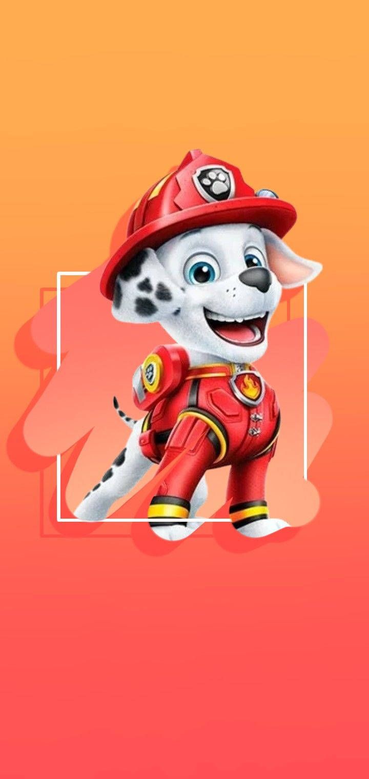 720x1520 Download Paw Patrol The Movie Marshall Wallpaper