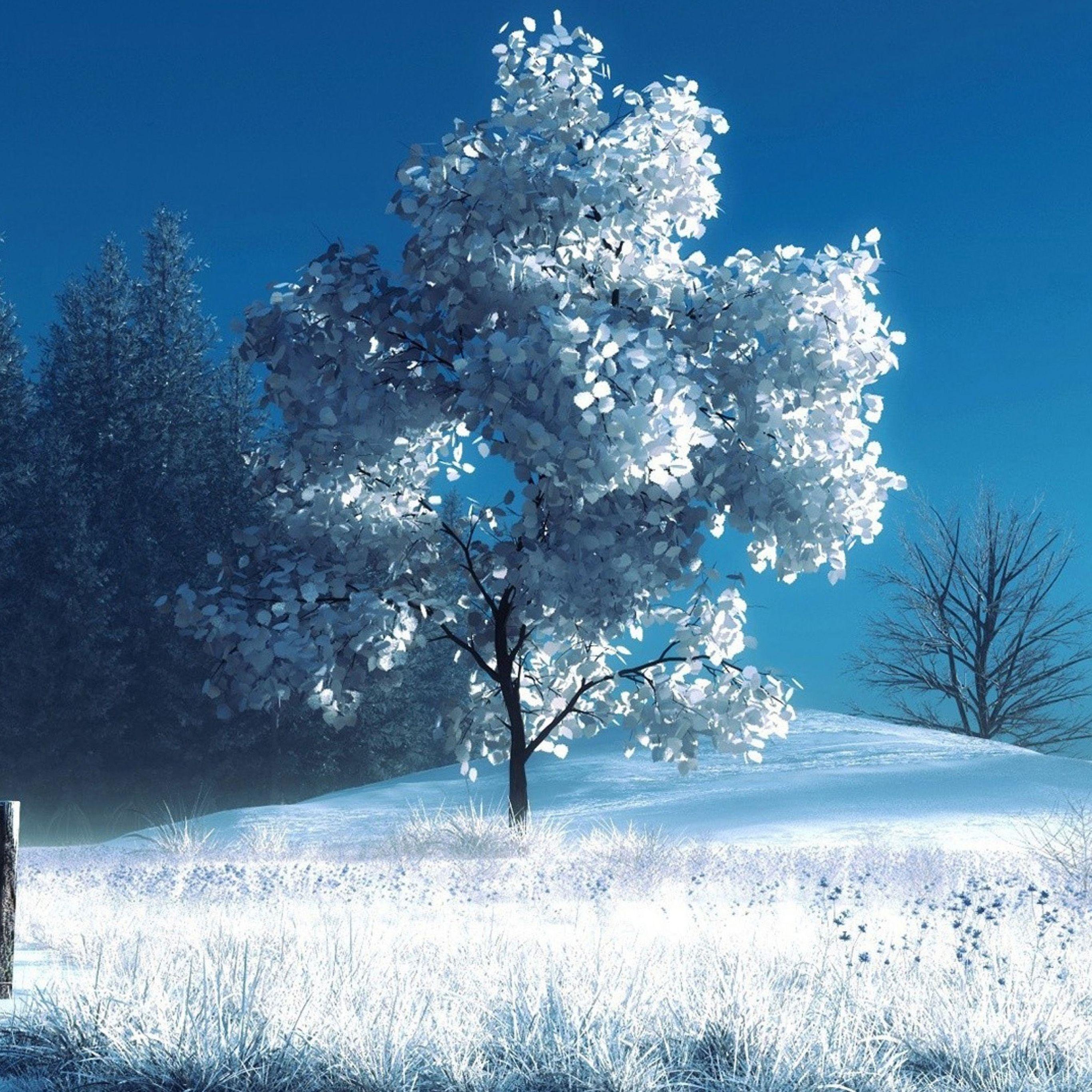 2732x2732 Winter Landscape iPad Pro Wallpaper HD 2732 X