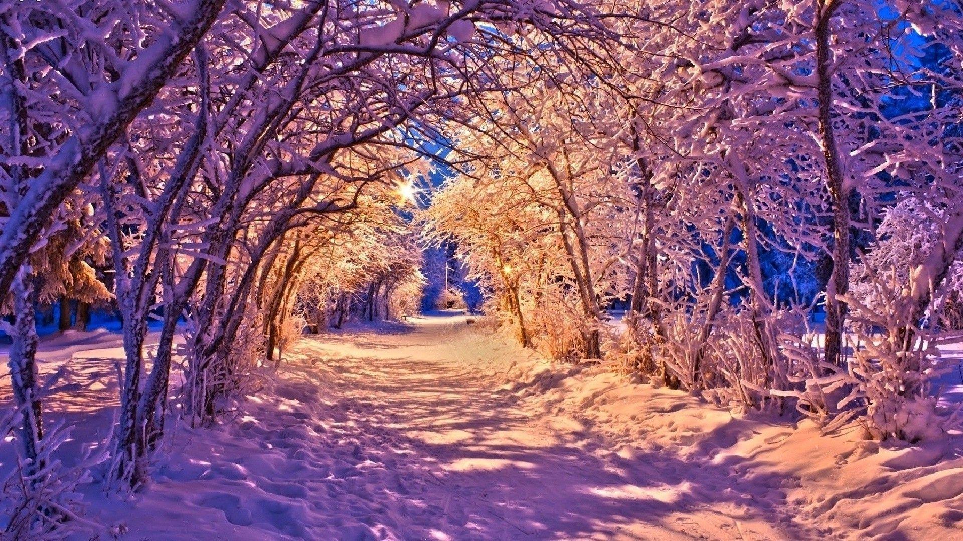 1920x1080 Winter Landscape Wallpaper