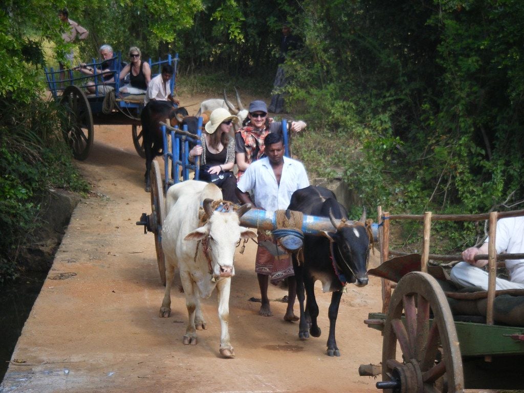 Bullock Cart Wallpapers - Top Free Bullock Cart Backgrounds ...