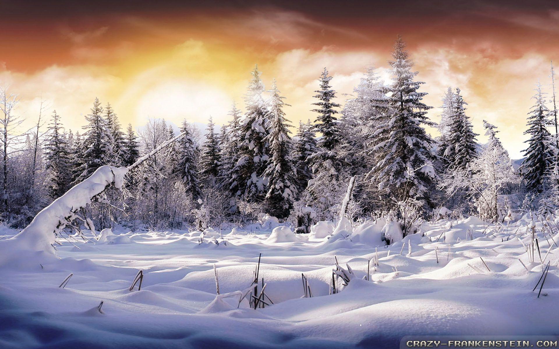 1920x1200 Beautiful Winter Wallpaper