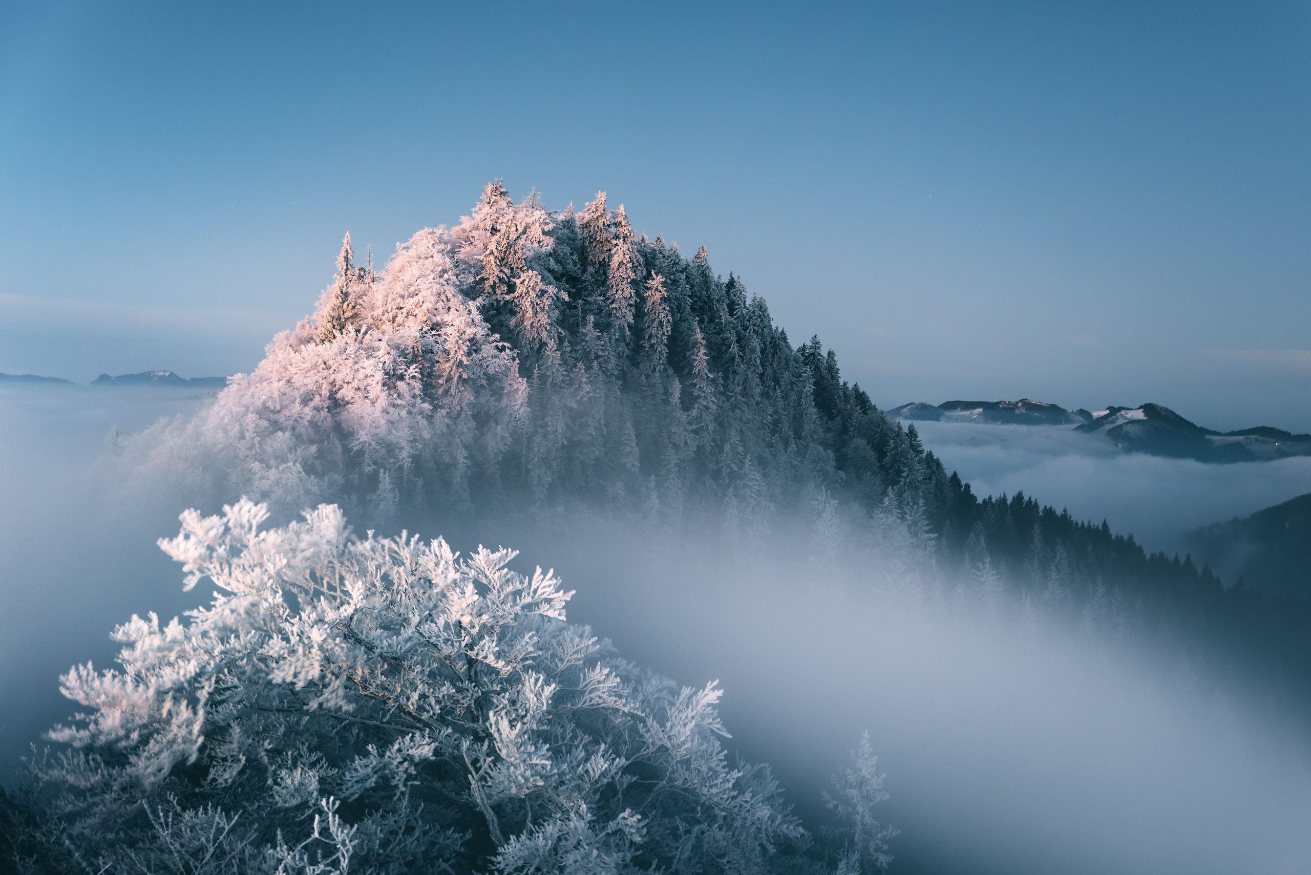 2560x1709 #nature, #winter, #landscape, wallpaper. General