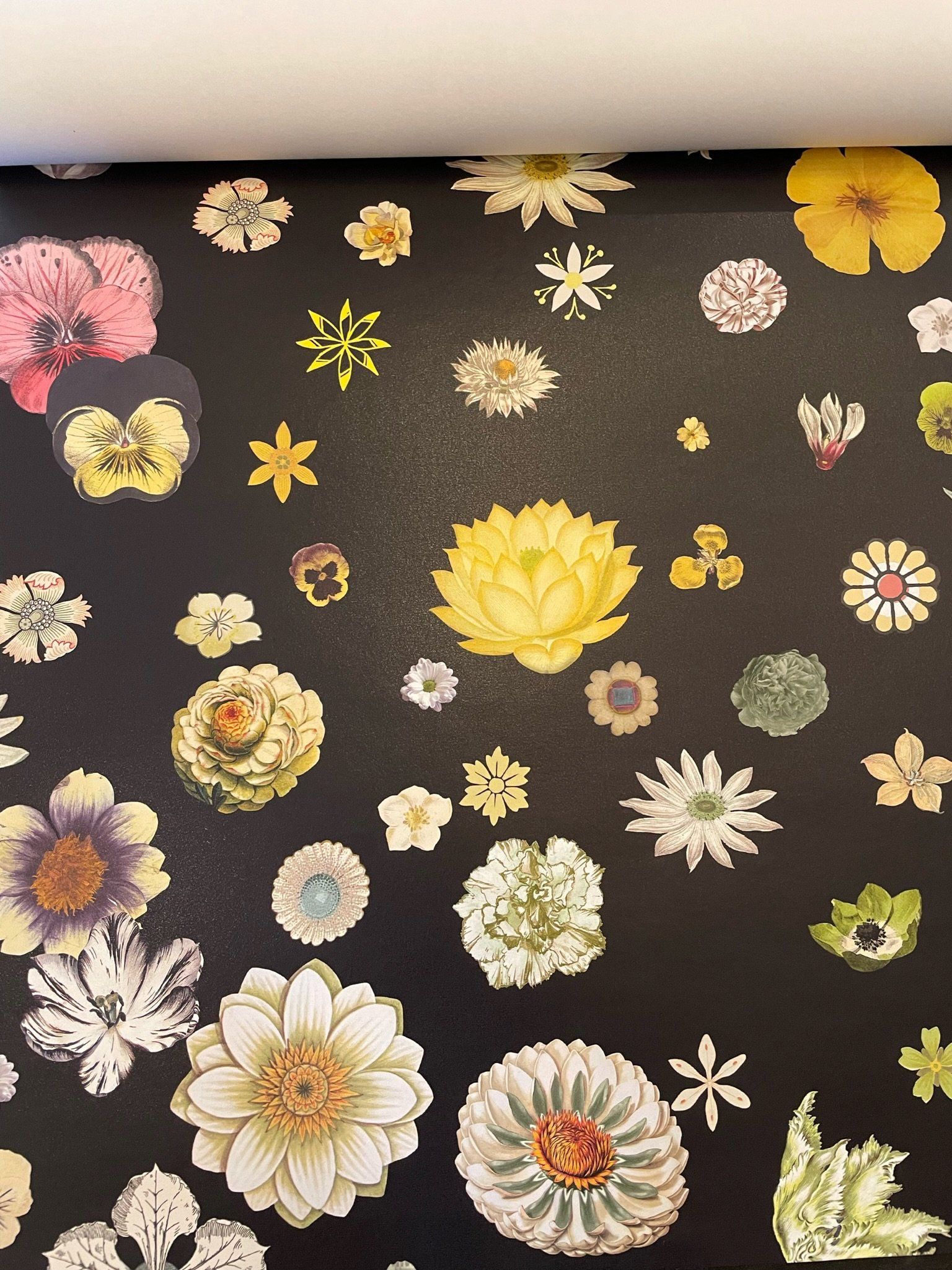 Baton Rouge Wallpapers Top Free Baton Rouge Backgrounds WallpaperAccess