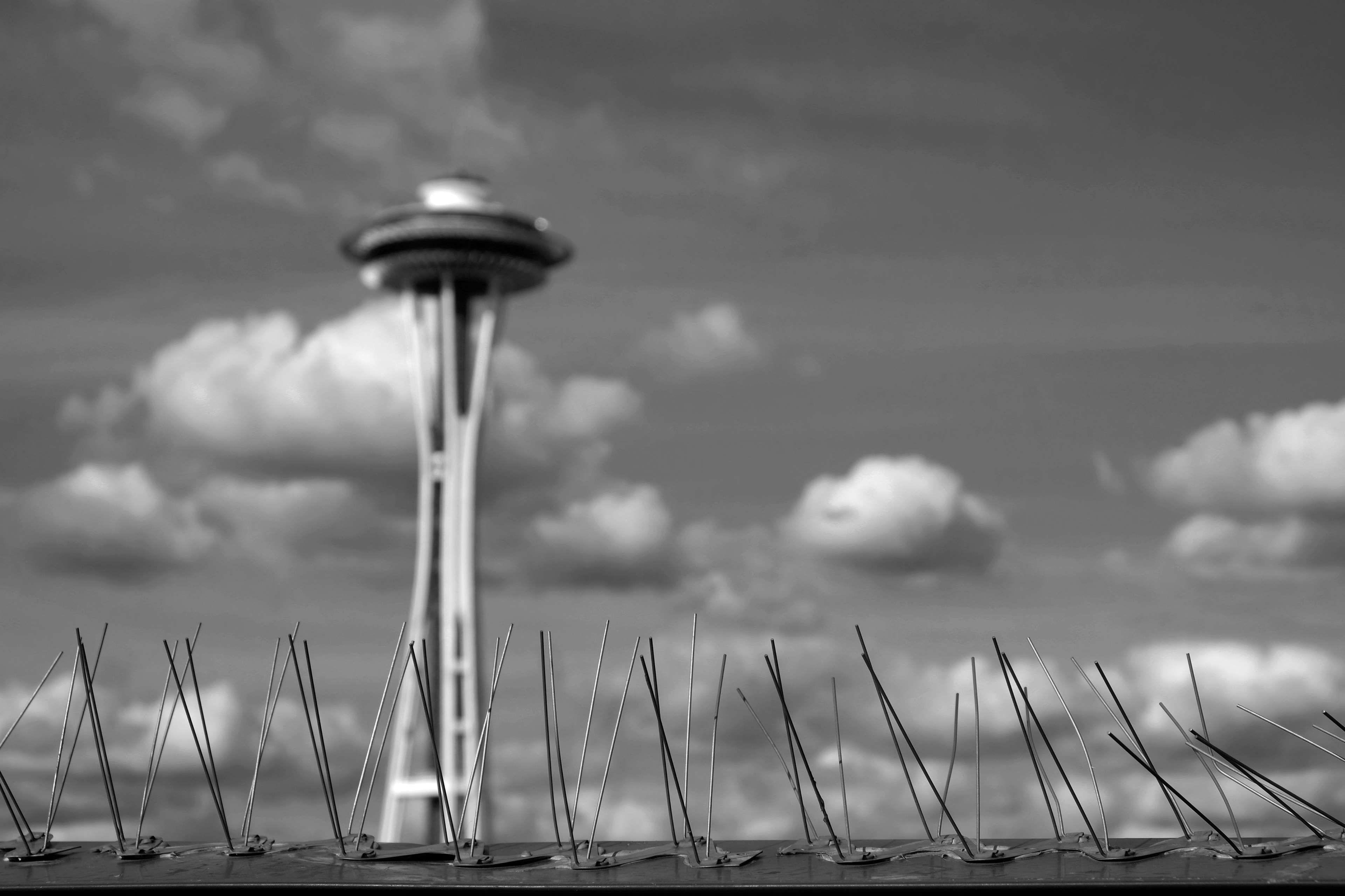 3840x2560 bird spikes, clouds, seattle, seattle space needle