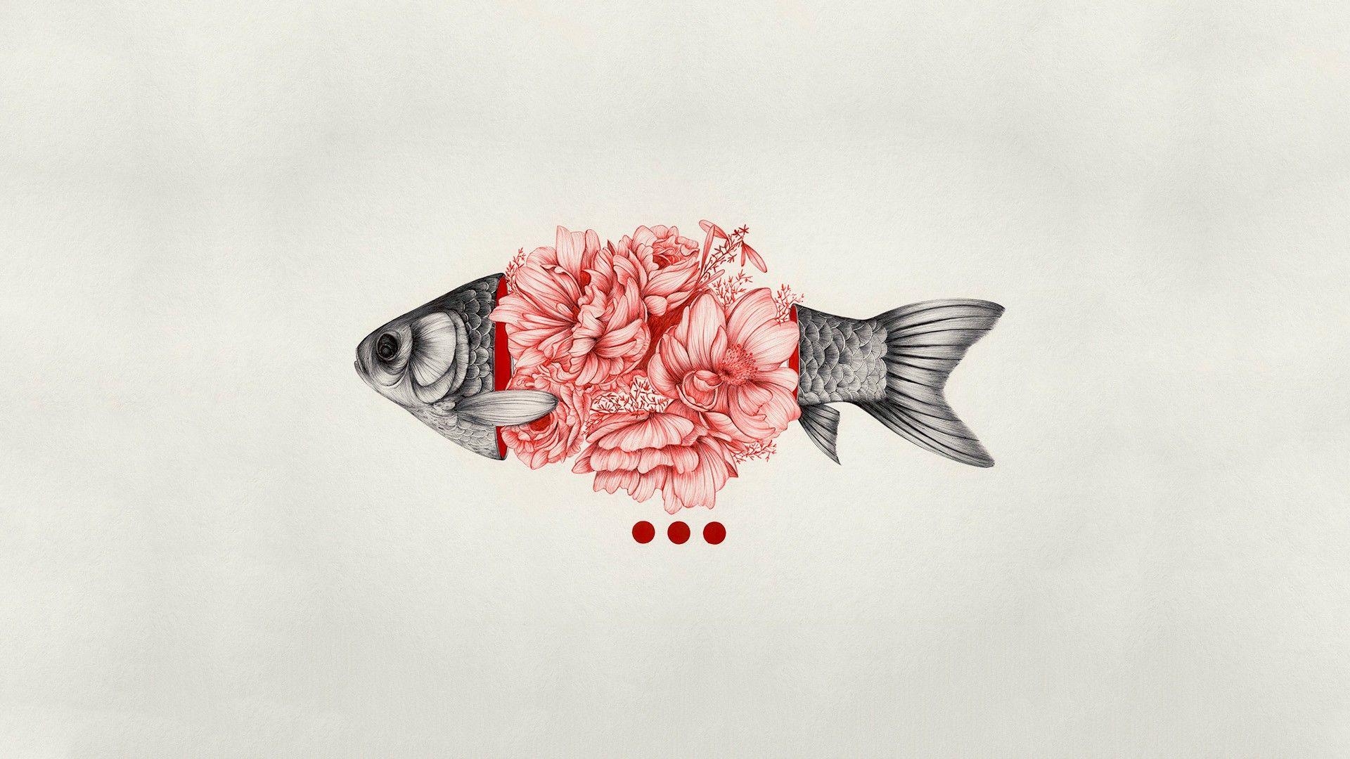 Minimalist Fish Wallpapers - Top Free Minimalist Fish Backgrounds