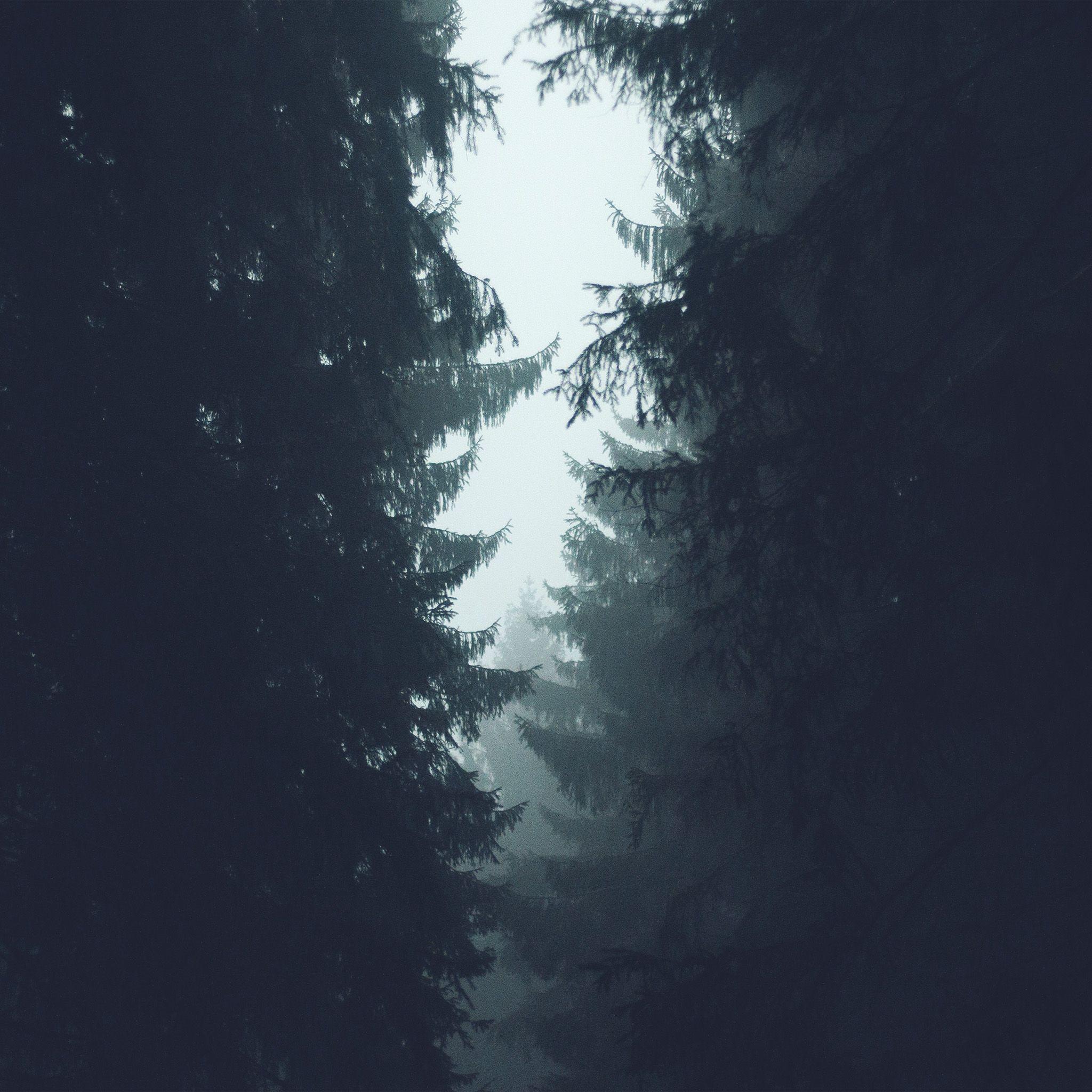 2048x2048 FreeiOS8.com. iPhone wallpaper. wood tree simple