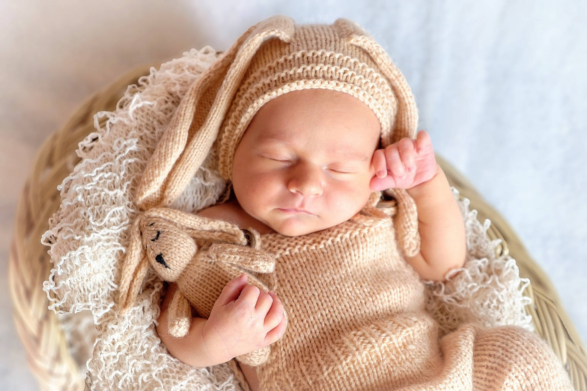 1920x1280 Download Very Cute Baby Bunny Clothes Wallpaper