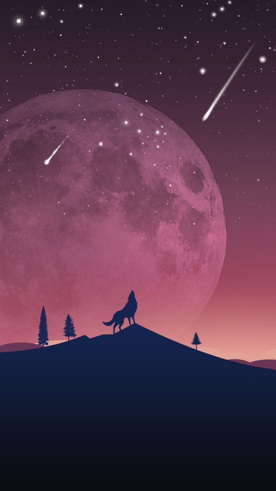 Galaxy Wolf Wallpapers Top Free Galaxy Wolf Backgrounds