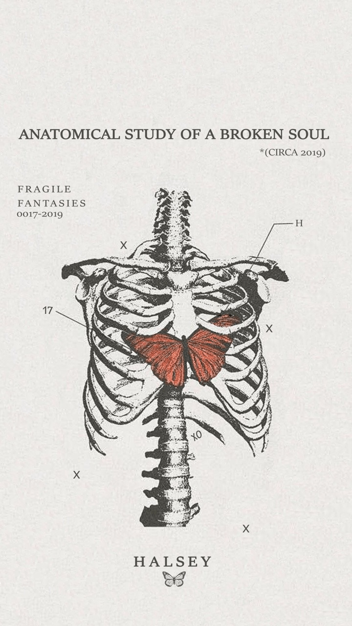 720x1280 anatomical study of a broken soulúsqueda de Google. Vintage poster art, Art collage wall, Poster art