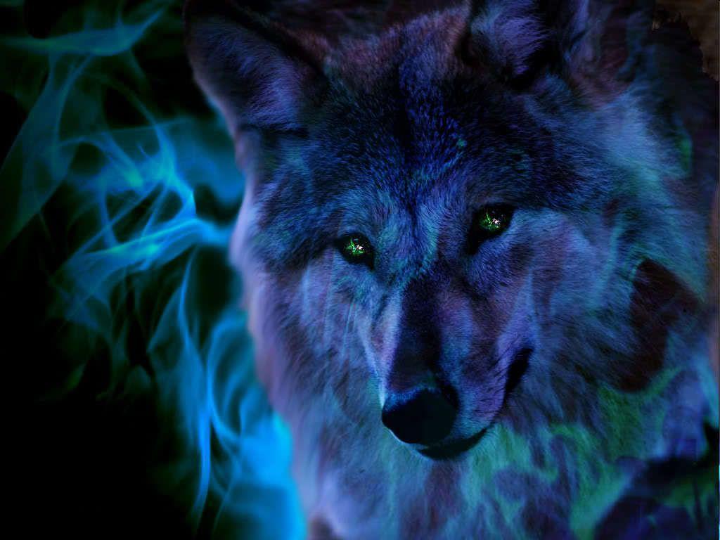 1024x768 Cool Wolf Background