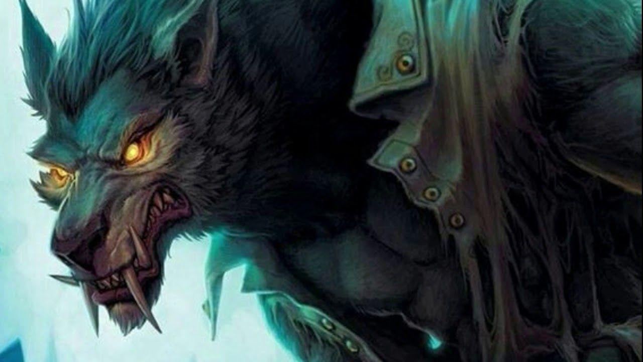 1280x720 Cool Wolf Wallpaper HD