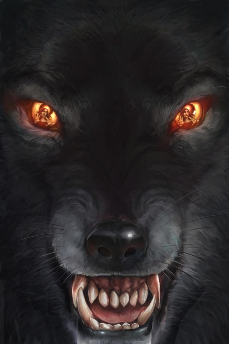 736x1104 Cool Wolf Wallpaper HD for Android