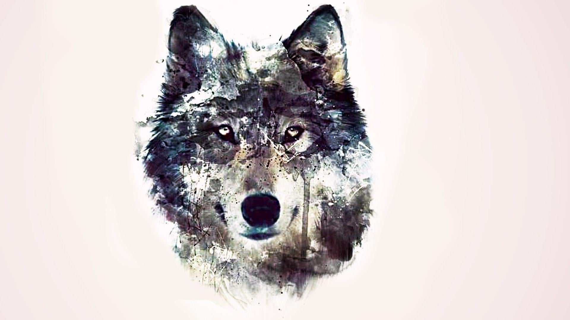 1920x1080 Wolf HD Wallpaper