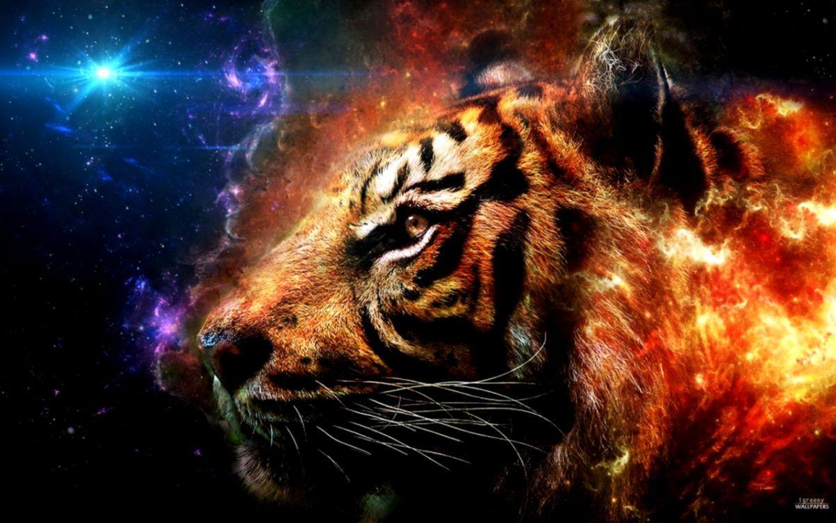 Cool Tiger Wallpapers - Top Free Cool Tiger Backgrounds - WallpaperAccess