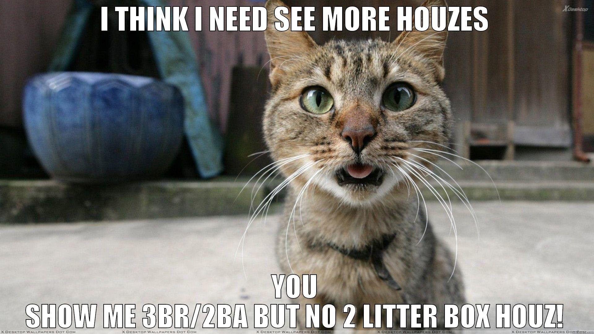 Funny Cat Memes Wallpapers  Wallpaper Cave