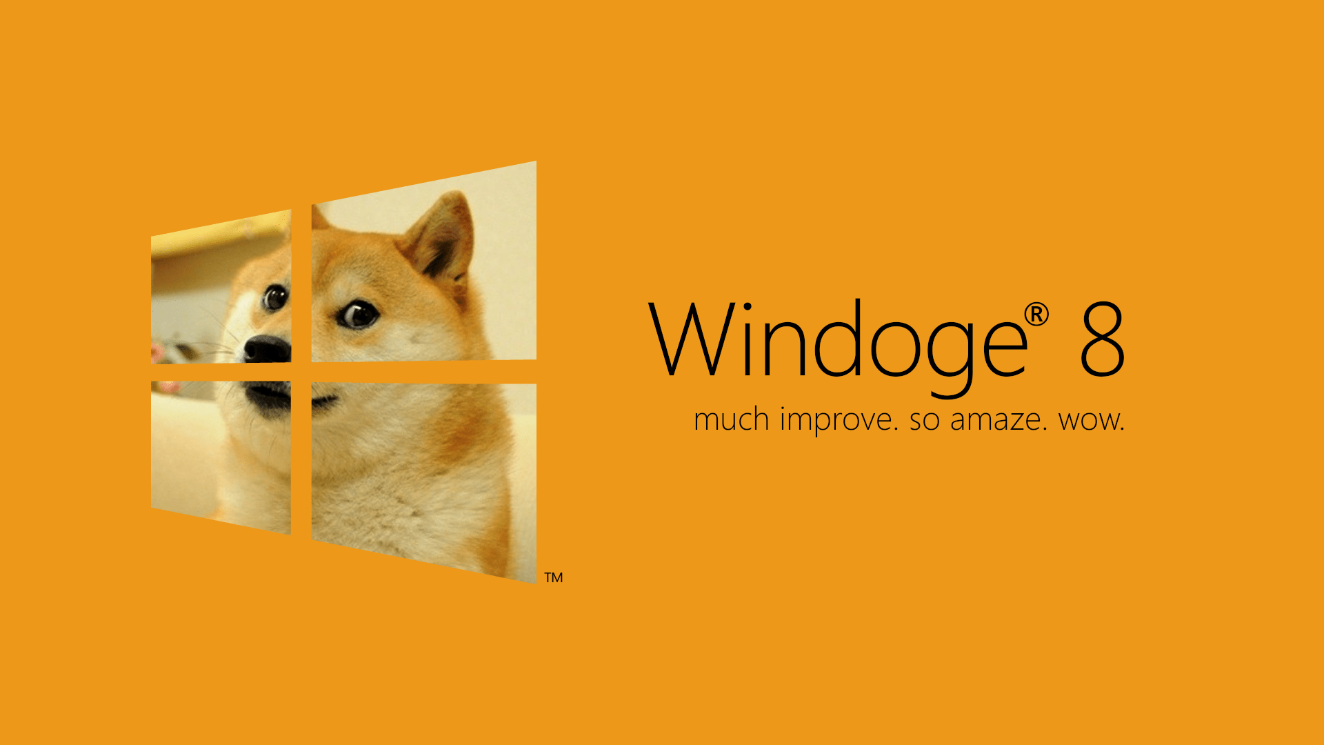 1920x1080 Wallpaper Meme Wallpaper HD Wallpaper