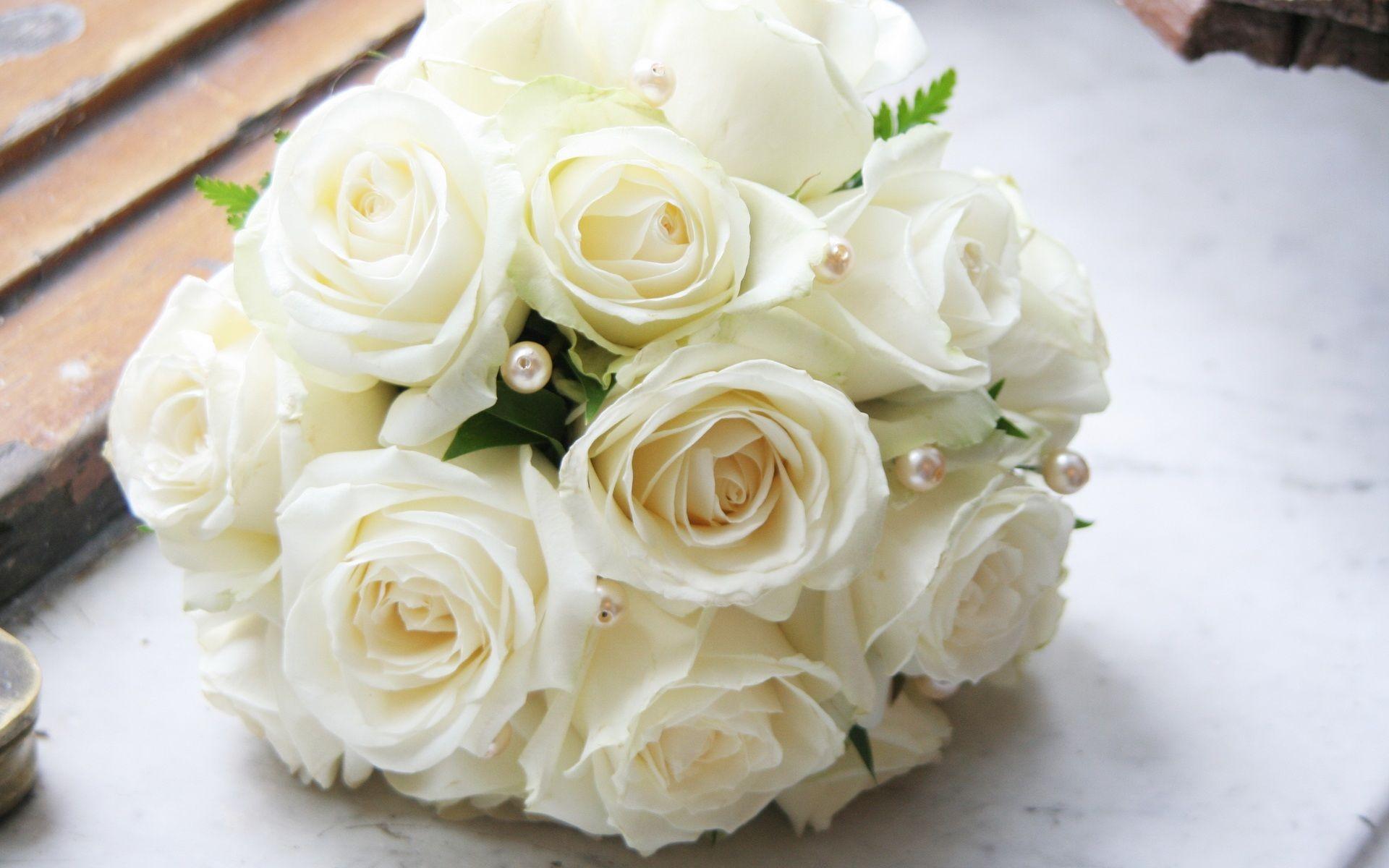 1920x1200 White Roses Wallpaper, High Definition, High