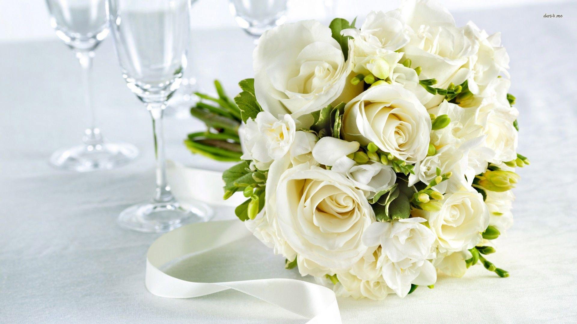 1920x1080 White Roses Flowers Hd Free Wallpaper. West Belmont Place