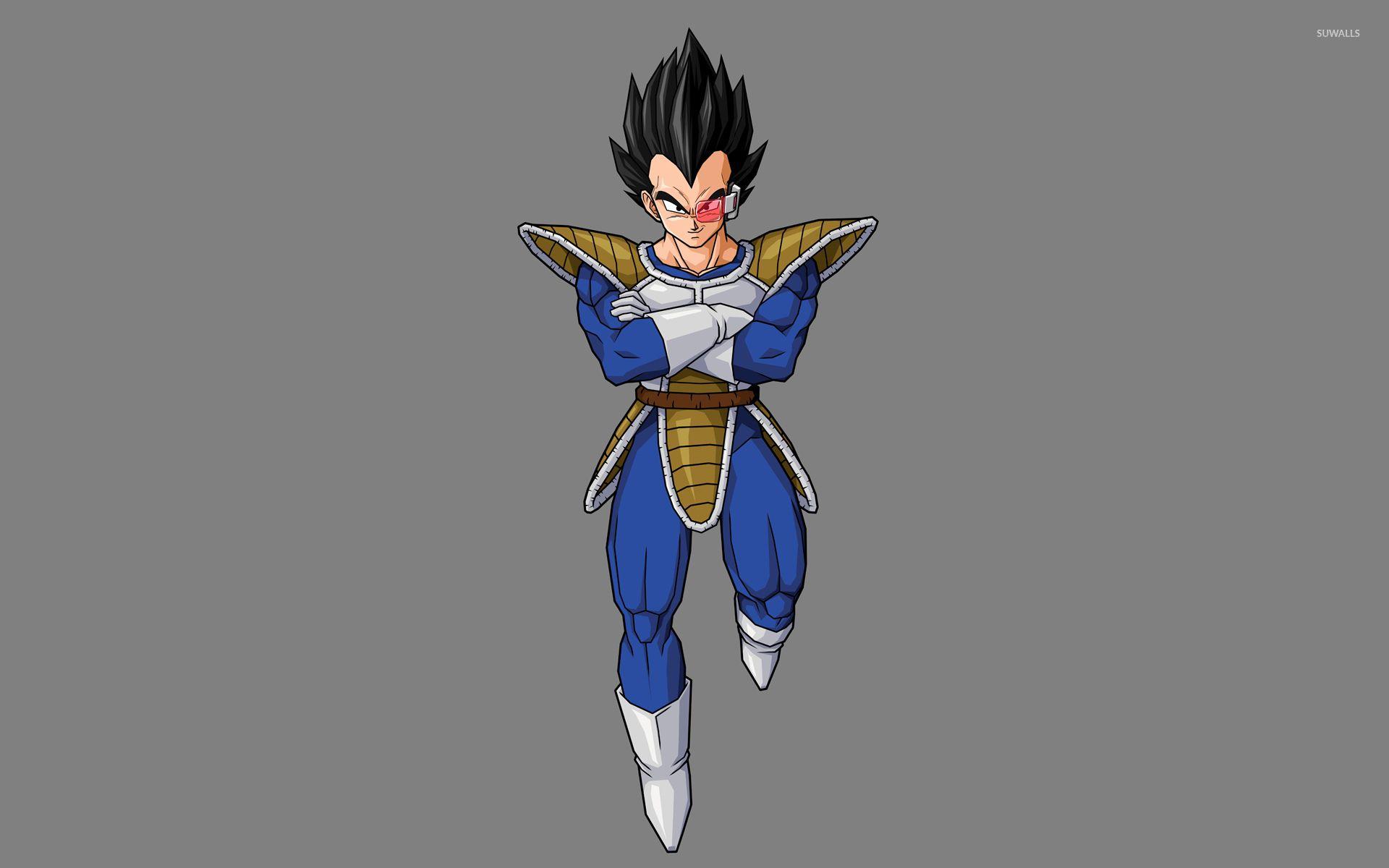 1920x1200 Vegeta Ball Z [2] wallpaper wallpaper