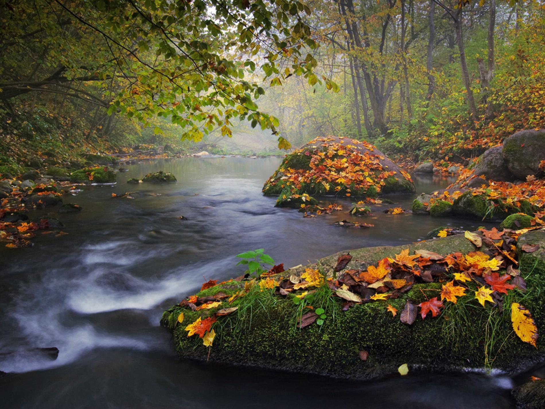 National Geographic Landscape Wallpapers - Top Free National Geographic Landscape Backgrounds - WallpaperAccess National Geographic Landscape Wallpapers - Top Free National Geographic Landscape Backgrounds - WallpaperAccess