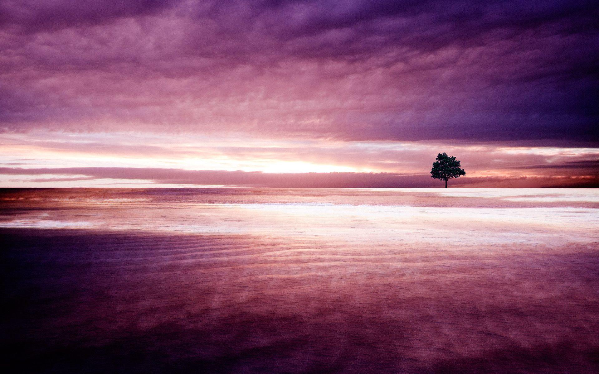 Purple Nature Wallpapers - Top Free Purple Nature Backgrounds