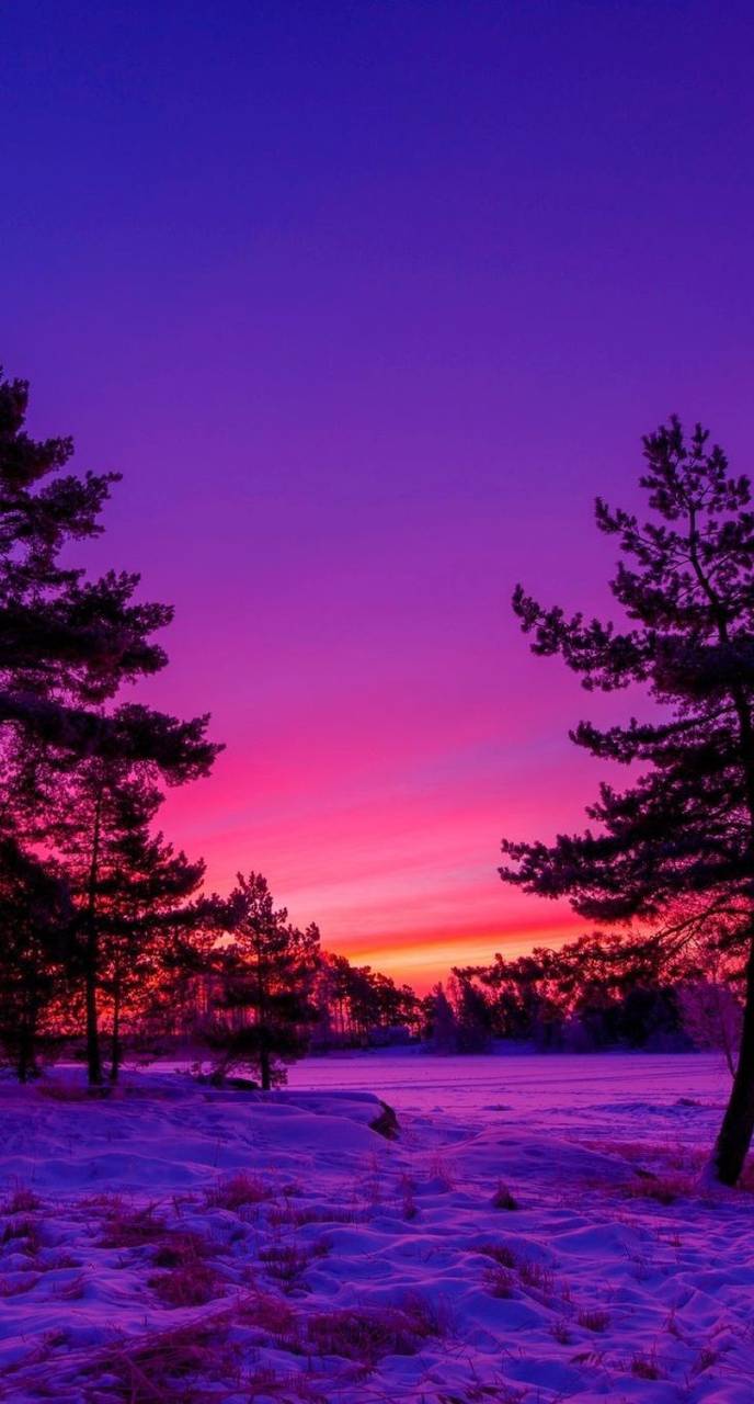 Pink and Purple Nature Wallpapers - Top Free Pink and Purple Nature