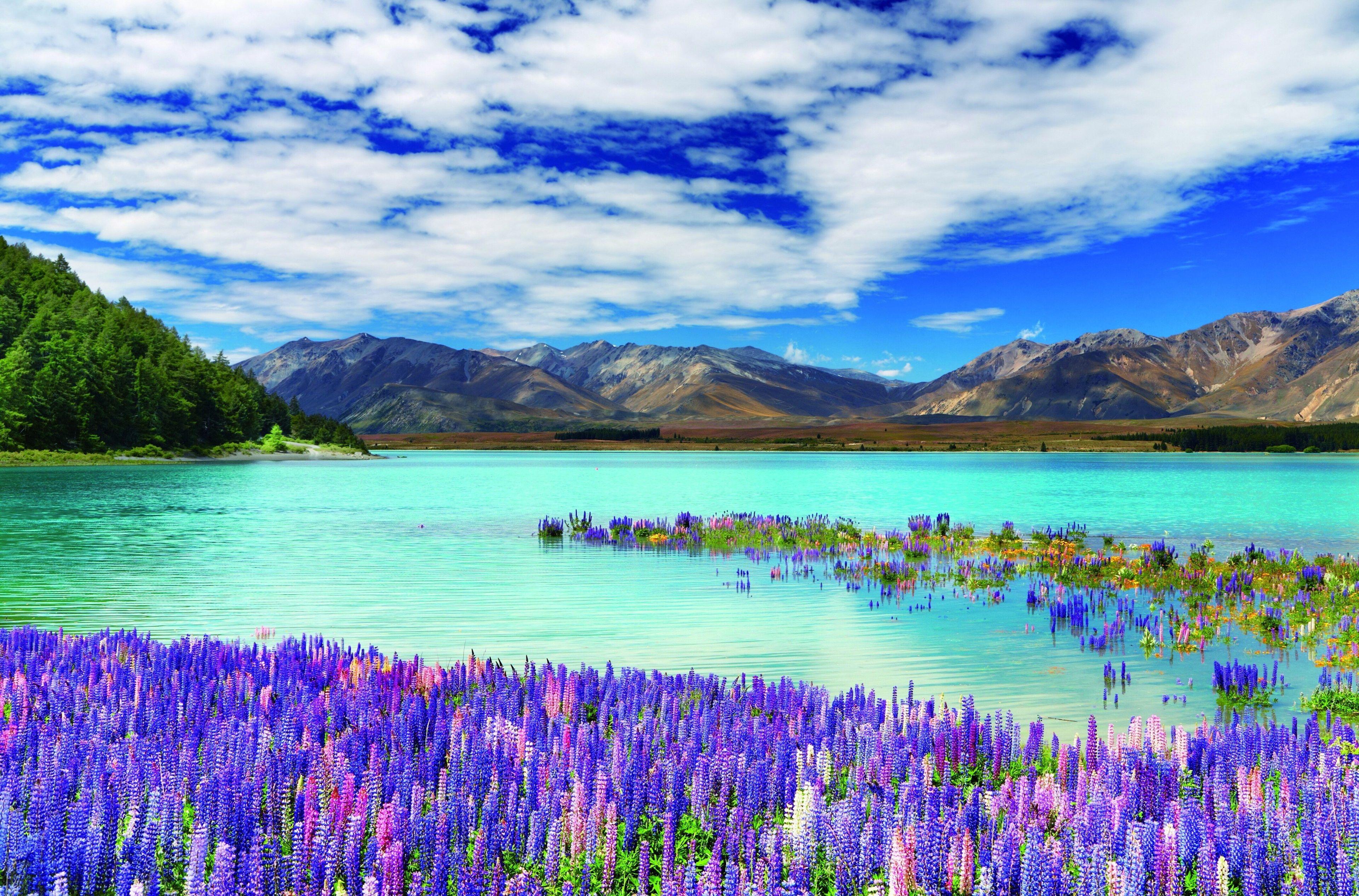 New Zealand Nature Wallpapers Top Free New Zealand Nature Backgrounds