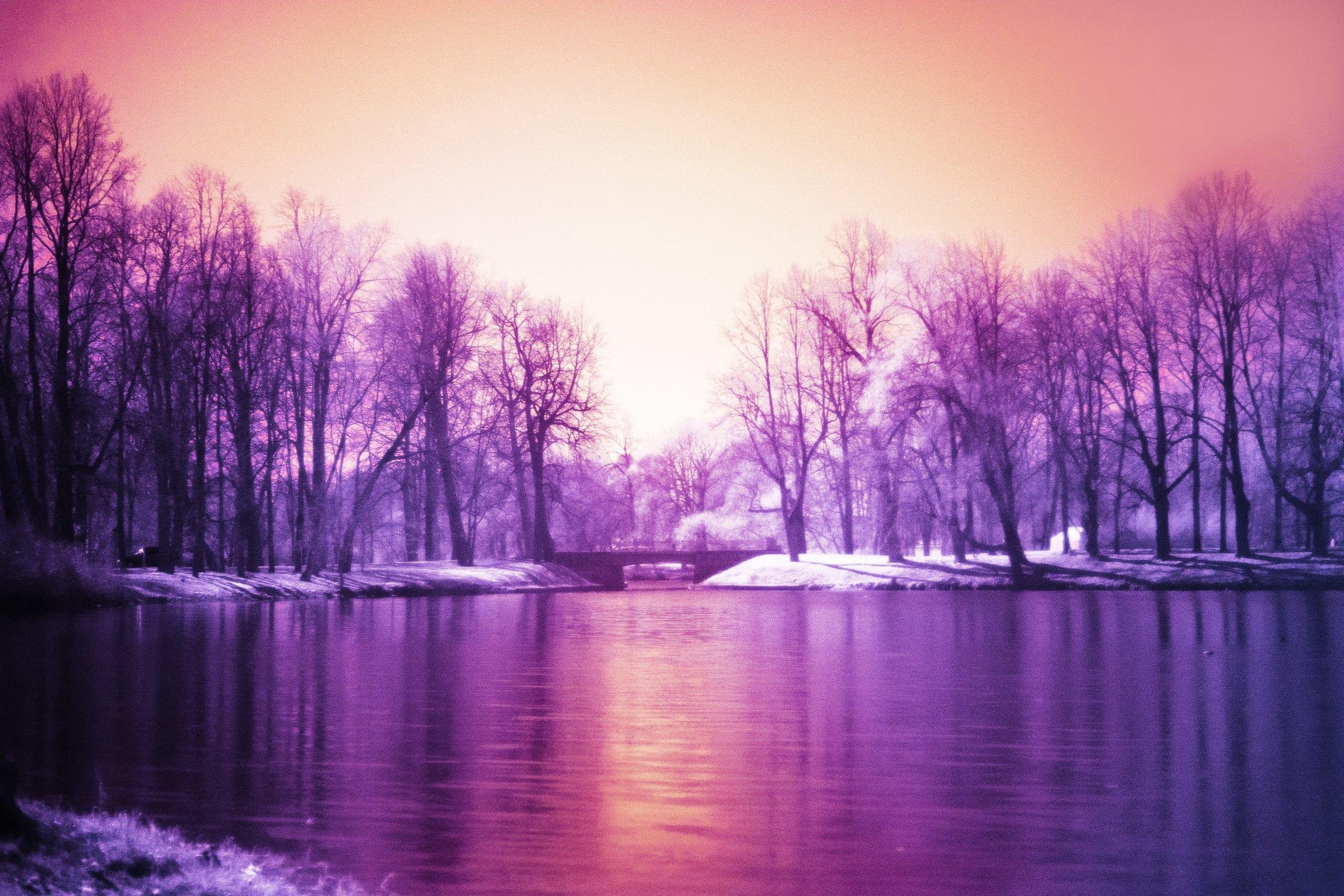 Stå på ski Faderlig Svin Purple Nature Wallpapers - Top Free Purple Nature Backgrounds -  WallpaperAccess