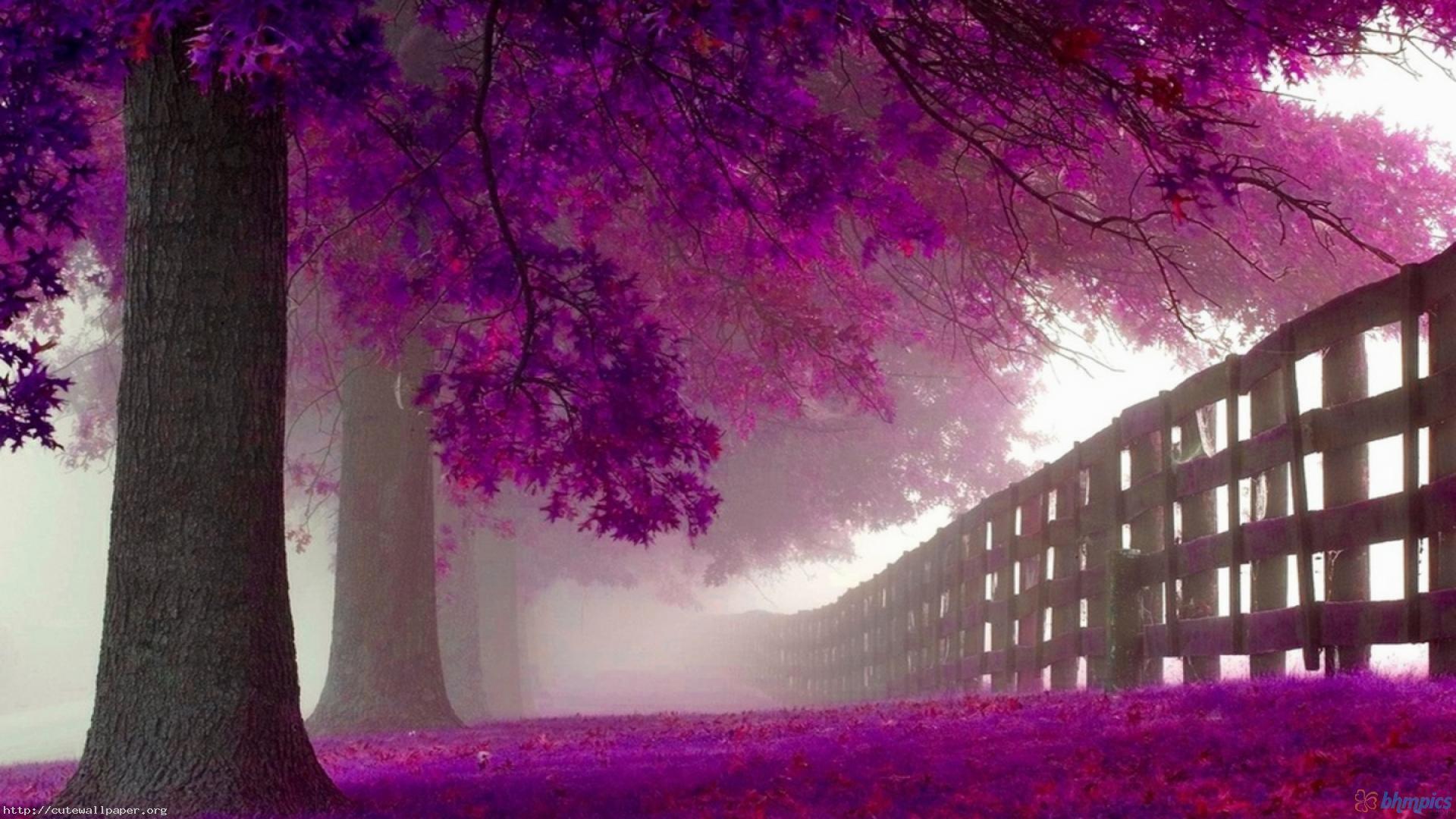 Purple Nature Wallpapers - Top Free Purple Nature Backgrounds