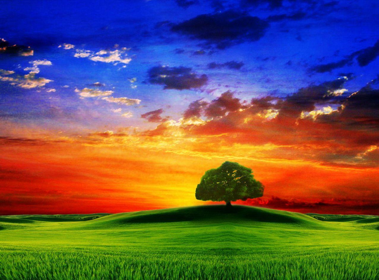 1276x945 Nature best screen Beautiful sky #wallpaper
