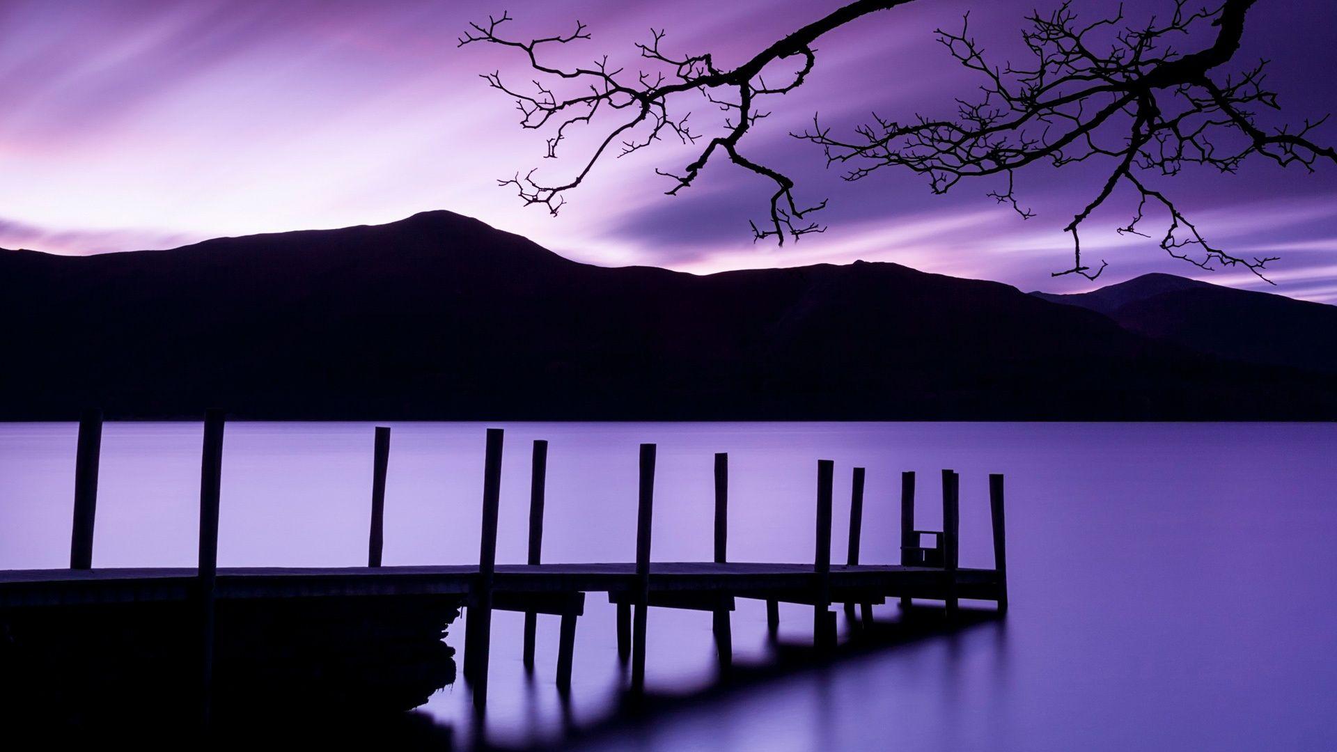 Purple Nature Wallpapers - Top Free Purple Nature Backgrounds