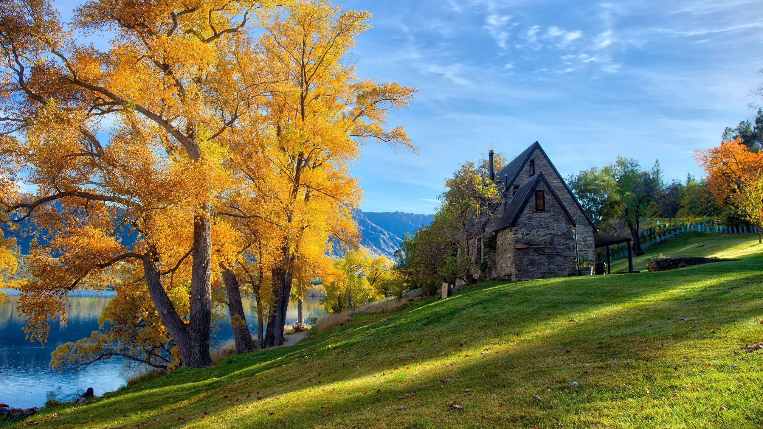 2560x1440 Picture New Zealand Queenstown HDR Nature Autumn Grass 2560x1440