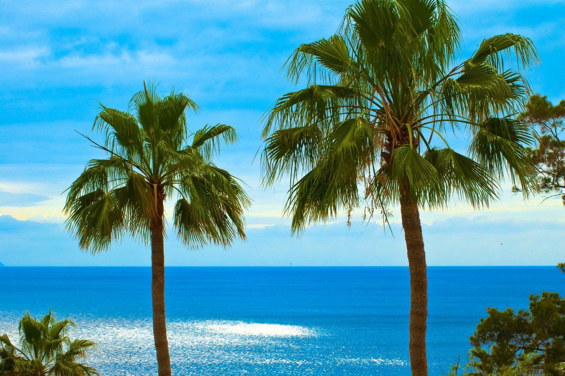 1920x1276 Canary Islands Wallpaper