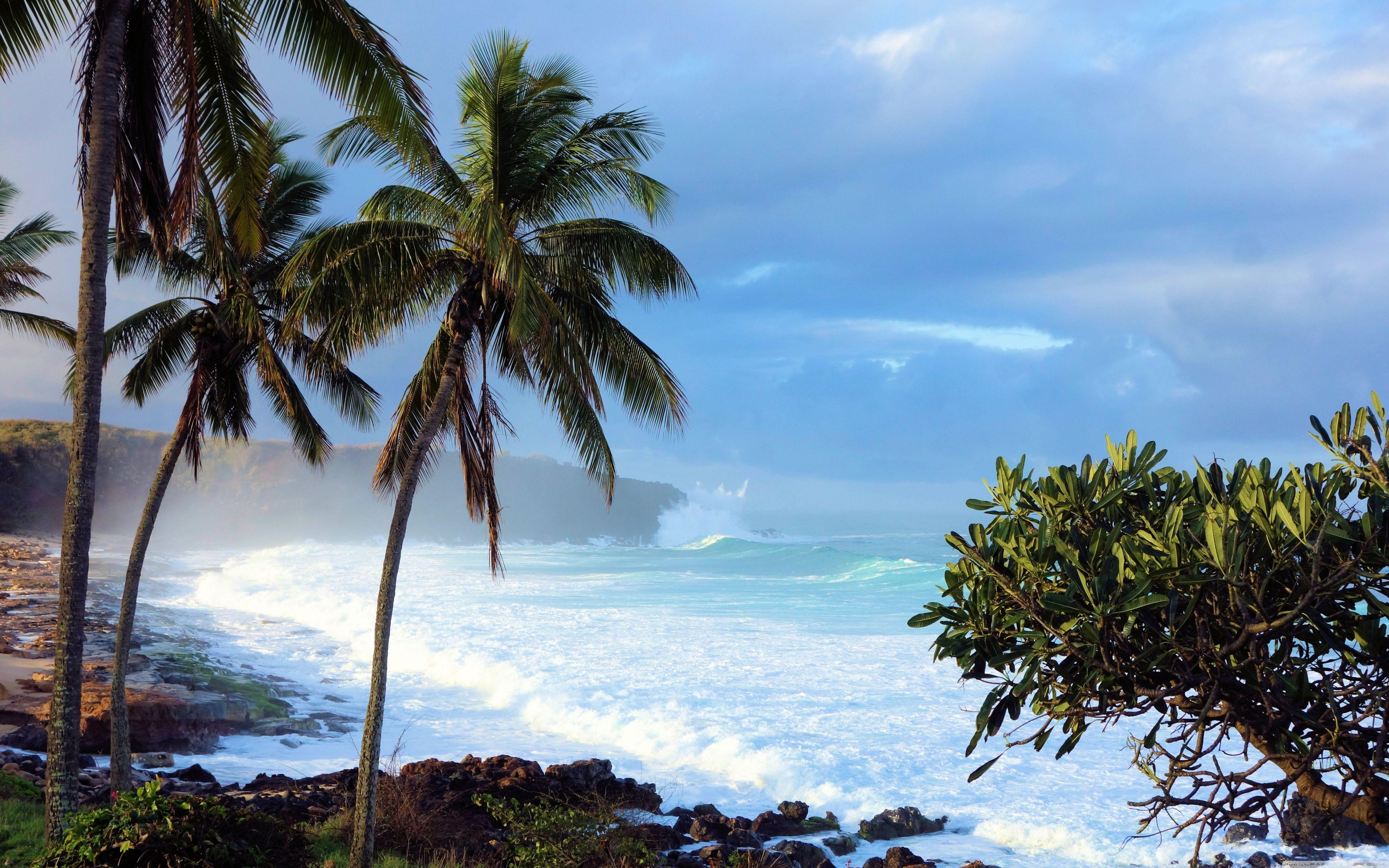 5120x3200 Hawaiian Island ❤ 4K HD Desktop Wallpaper for 4K Ultra HD