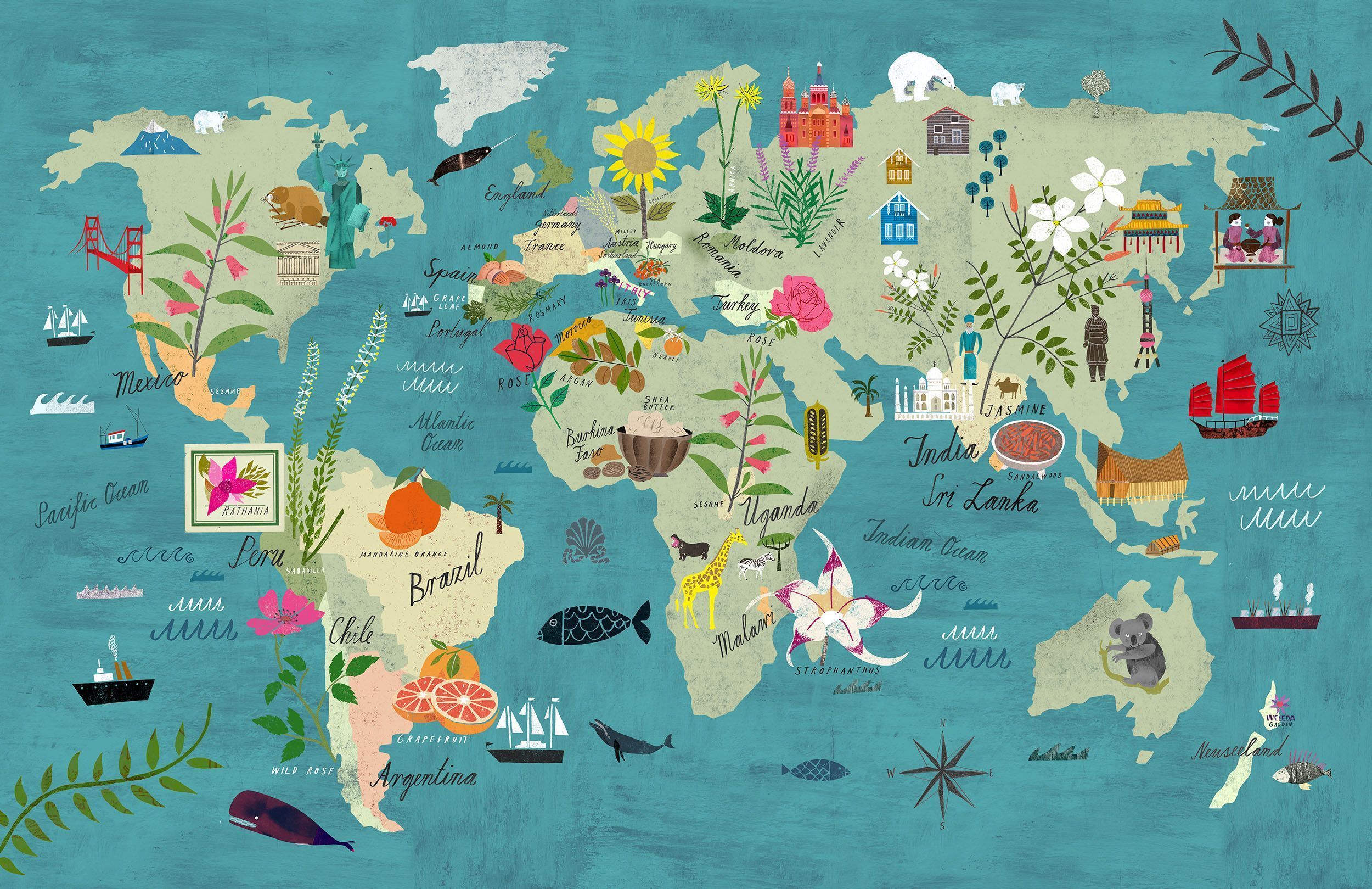 2500x1619 world map