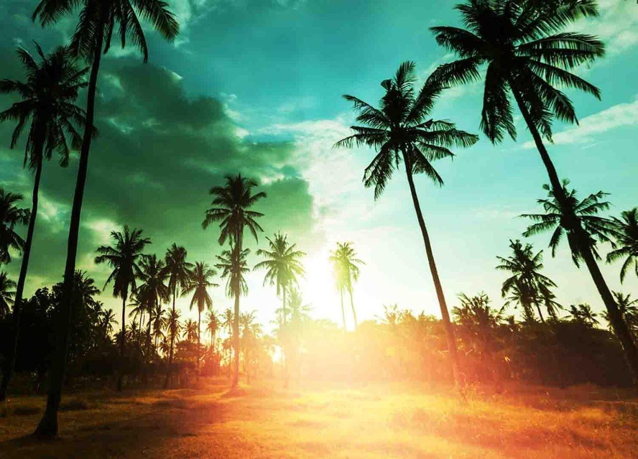 1250x900 hawaiian wallpaper
