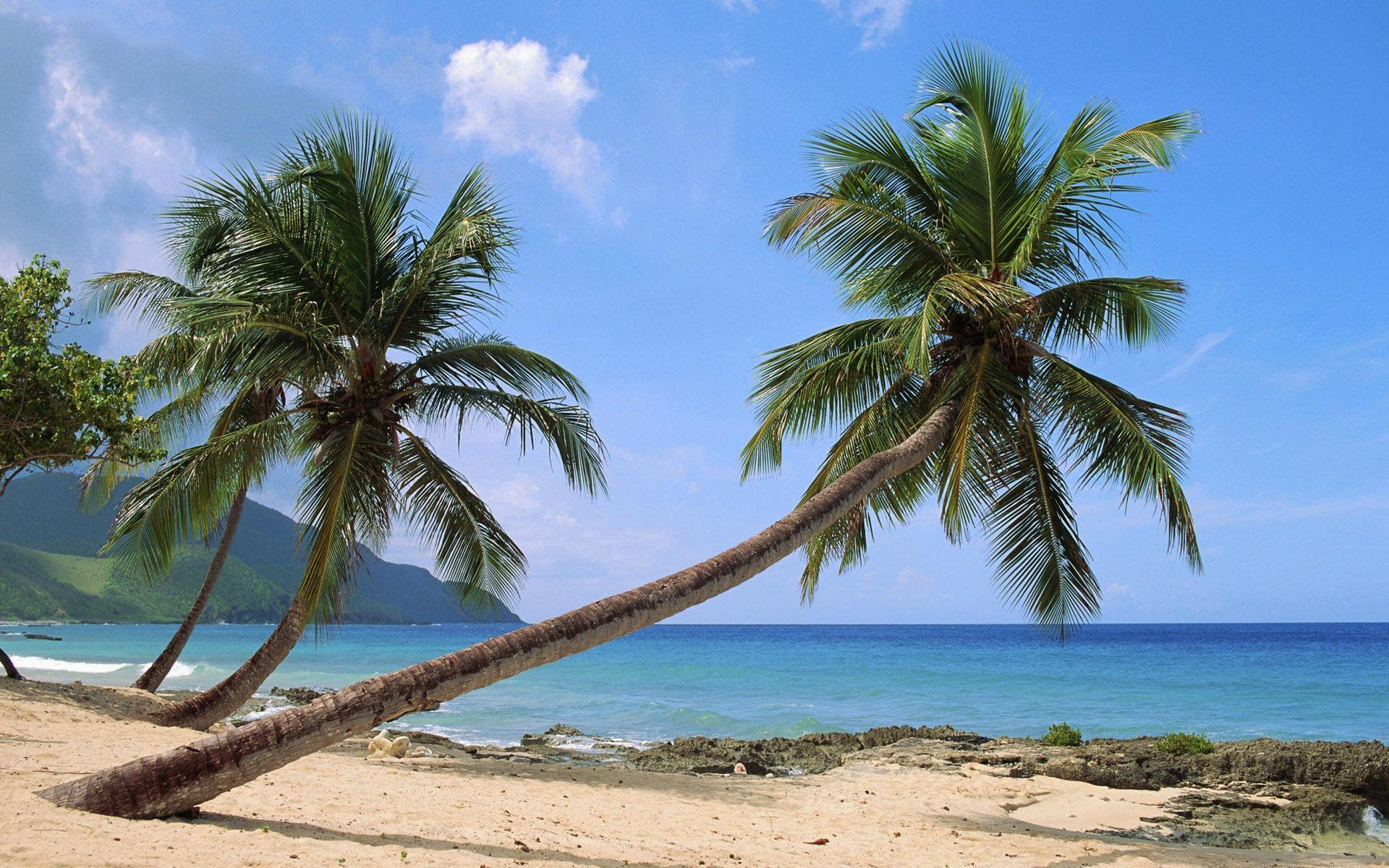 1920x1200 Paradise Island wallpaper. Paradise Island