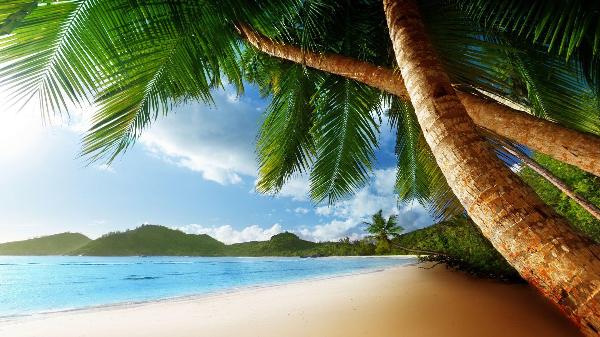 1920x1080 Island Wallpaper (10)