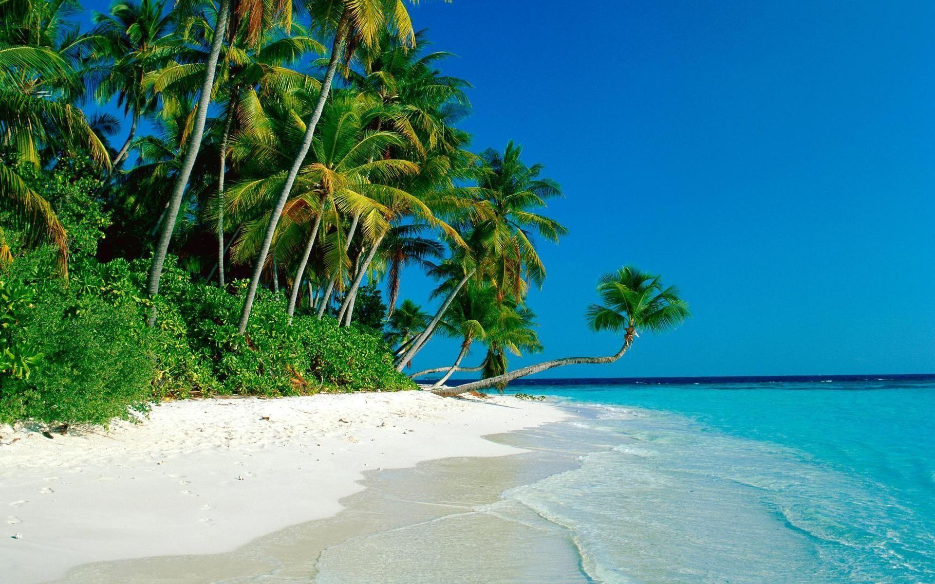 1920x1200 Tropical island beach wallpaperx1200