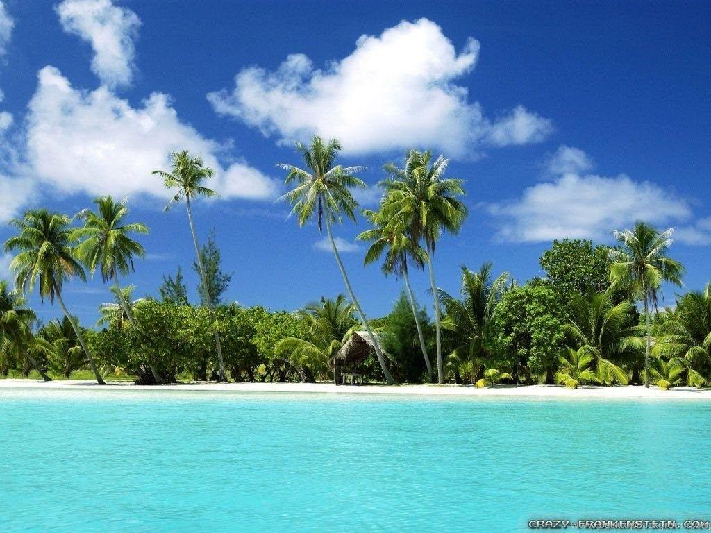 1024x768 Tropical Island Wallpaper Crazy Frankenstein Desktop Background