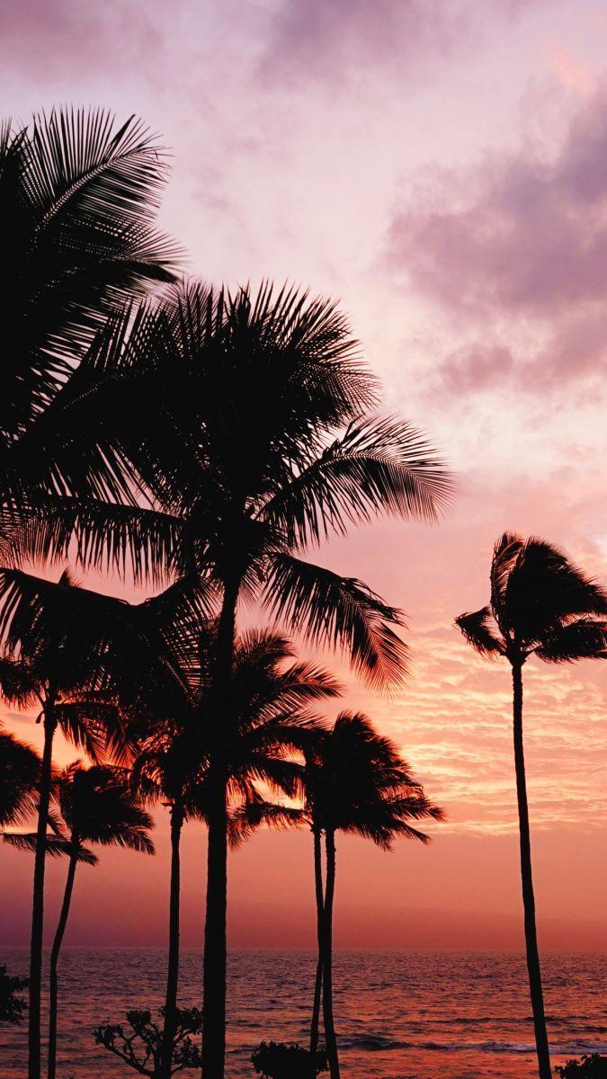 675x1200 hawaii wallpaper. I share!. Hawaii travel, Hawaii