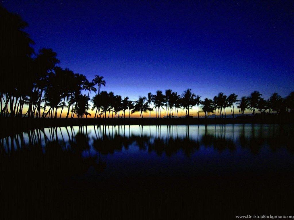 1024x768 Palm Silhouette Big Island Hawaii Wallpaper Desktop Background