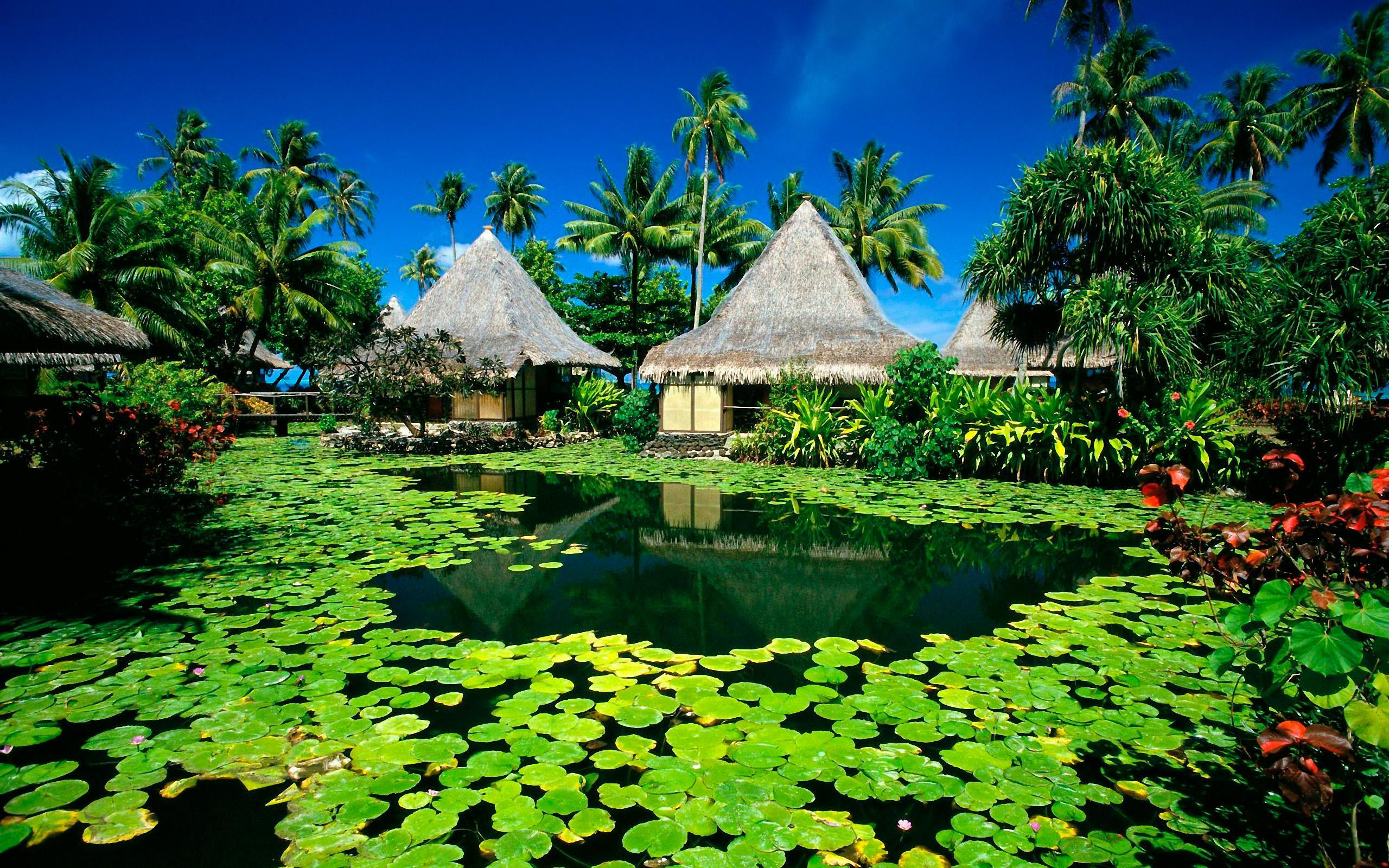 2560x1600 Paradise island Wallpaper